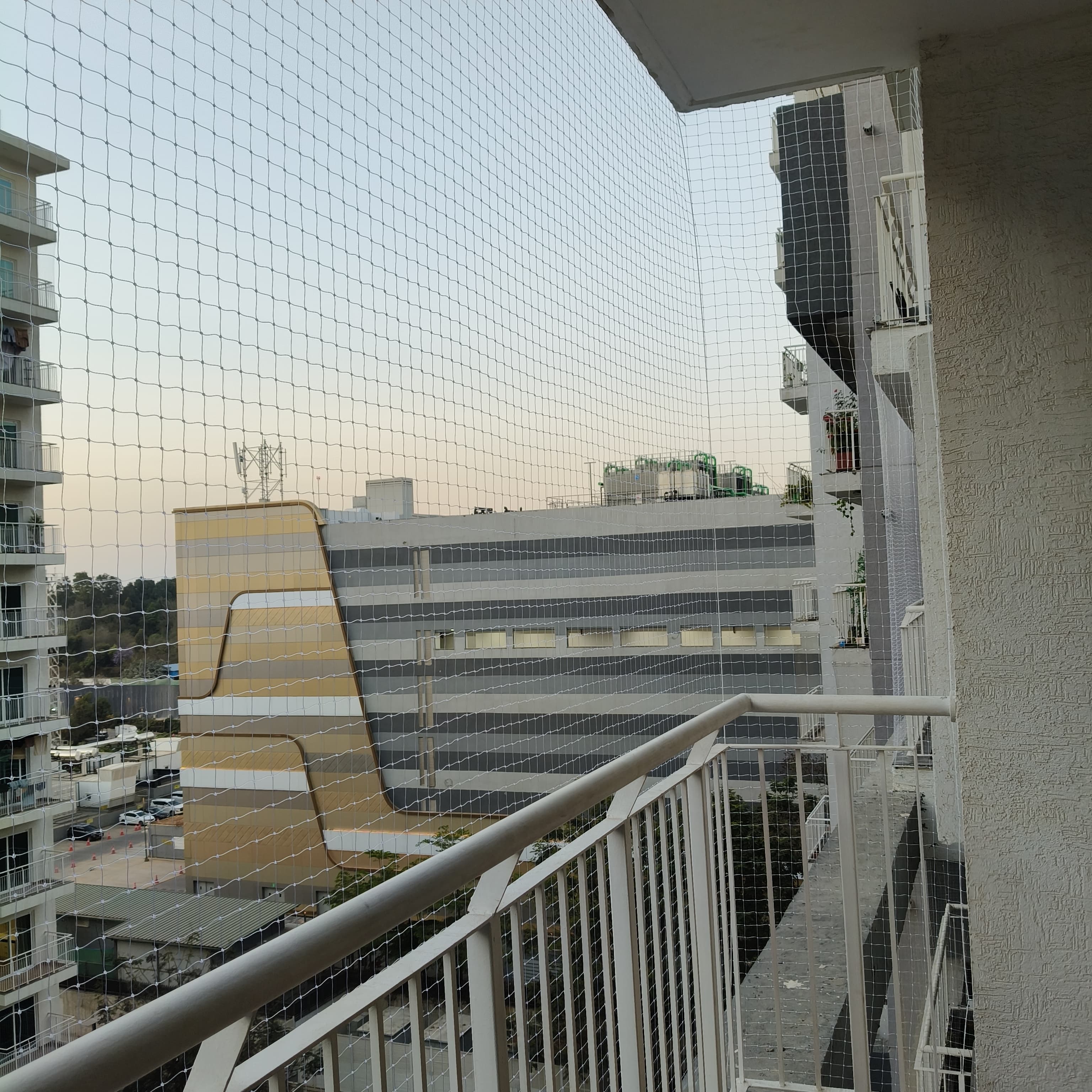 Pigeon mesh on window