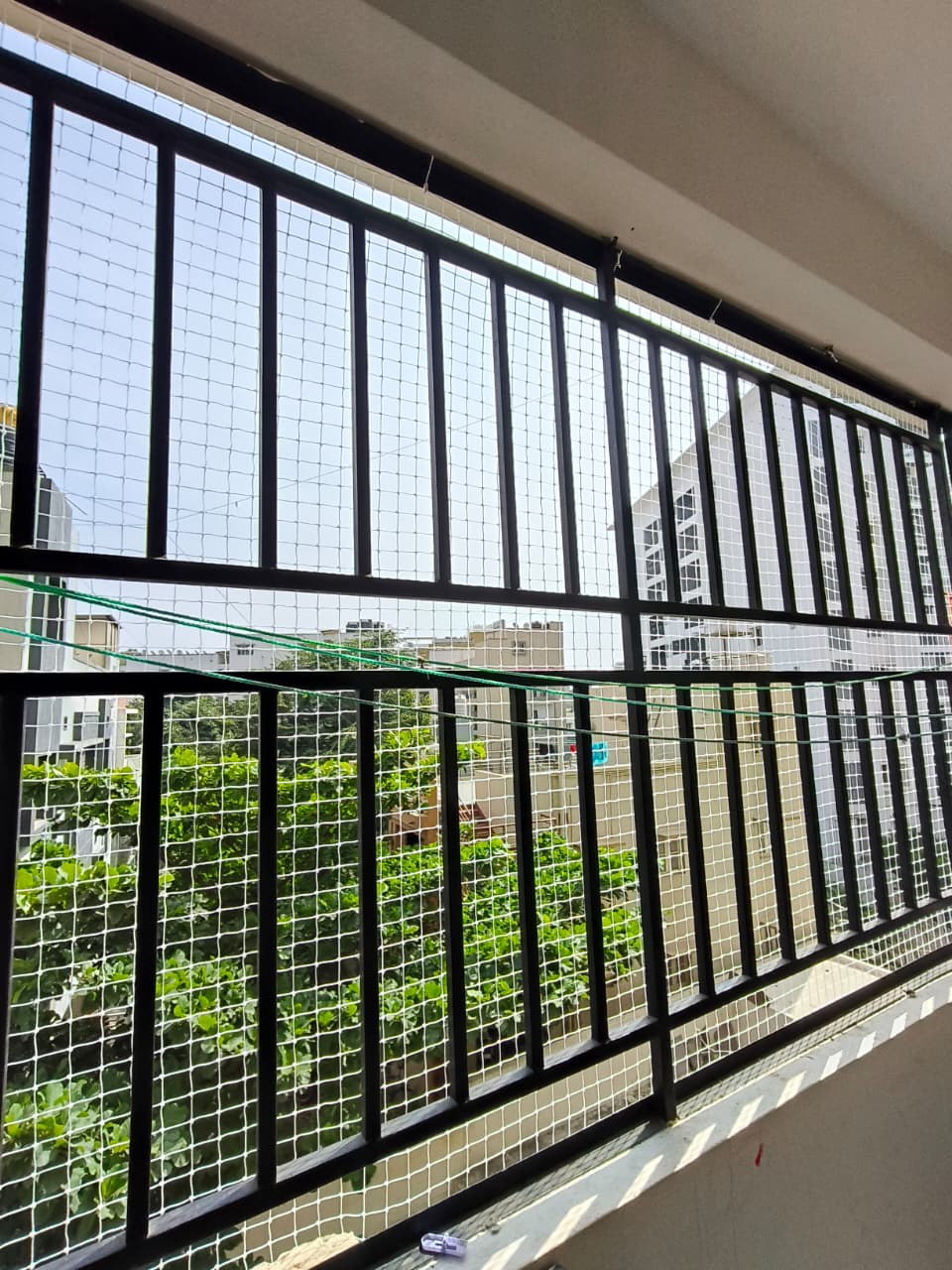 Window before pigeon net