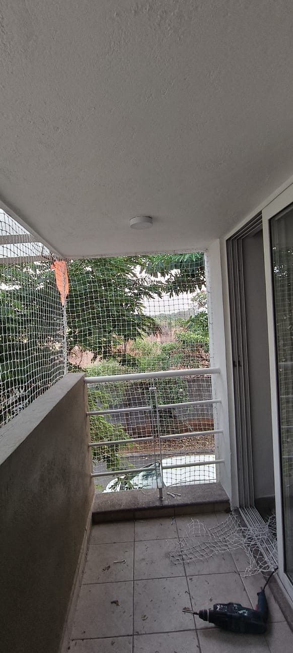 Window pigeon mesh